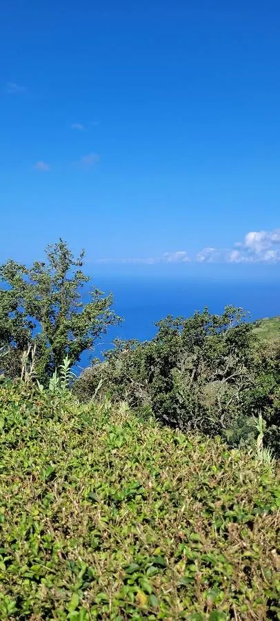 Nyaraló Refugio Do Theo Theo'S Refuge Villa Estreito Da Calheta
